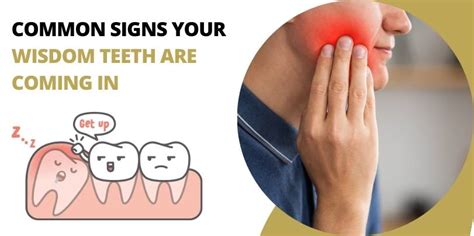 signs of wisdom tooth