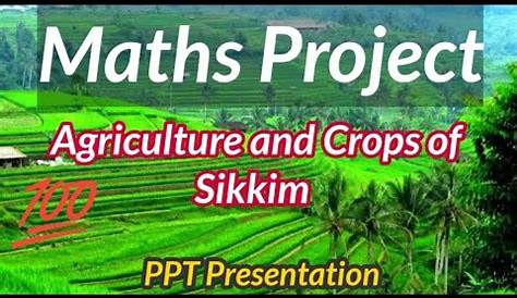 Maths Sikkim Project | Sikkim PPT Maths | PPT on Sikkim - Agriculture