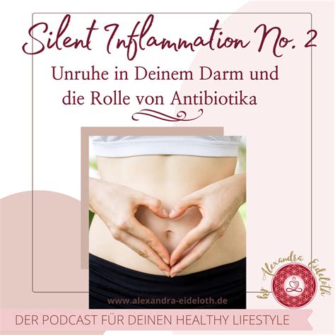 silent inflammation darm