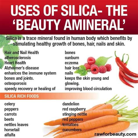 silica in food side effects