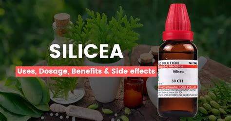 silicea homeopathic remedy side effects