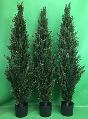 Silk Tree Warehouse Amazon