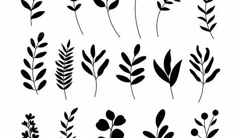 hojas de palmeras clipart 10 free Cliparts | Download images on