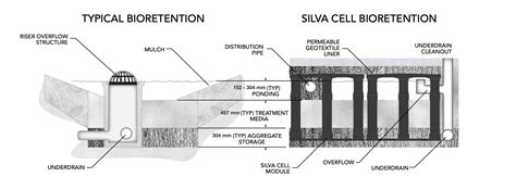 silva cell