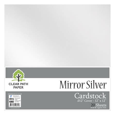 Silver Cardstock 12X12
