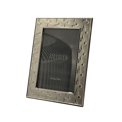 Silver Picture Frame Kit