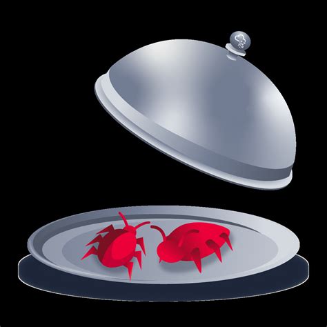 Silver Platter Walkthrough