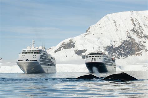 silversea cruises antarctica