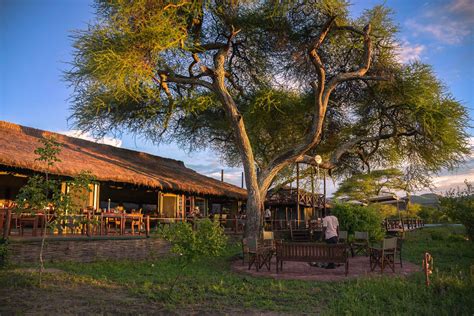 simba farm lodge location