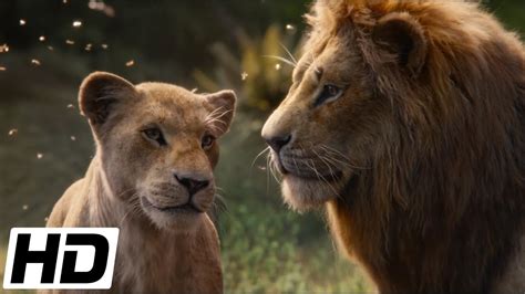 simba meets nala 2019