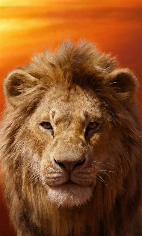 simba the lion king 2019