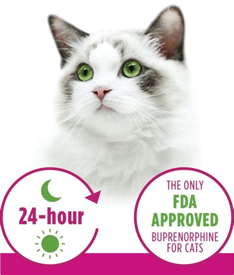 simbadol for cats side effects