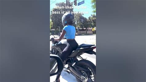 Halsey Cplaya 93 Premium Archive: Full Collection 2026