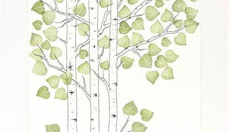 simple aspen tree drawing Drawing stuff Pinterest