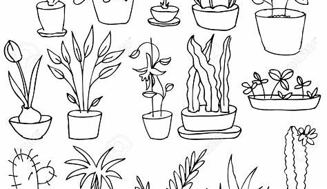 House plants hand draw set. — Stock Vector © Villis 124107966