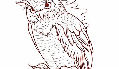 Simple Flying Owl Drawing at GetDrawings Free download