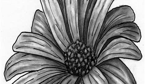 Simple Pencil Drawing Images Of Flowers 40 Easy Flower s For Inspiration
