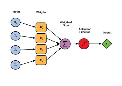 Perceptron (MLP) neural network. Download Scientific Diagram