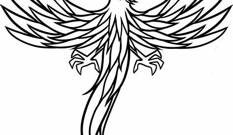 outline phoenix tattoo design black outline phoenix tattoo