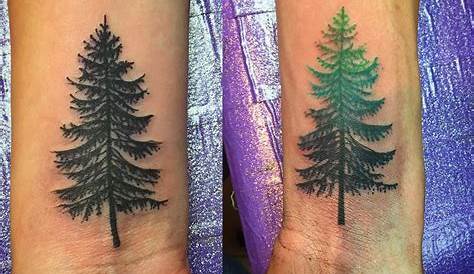 Simple Pine Tree Tattoo 75+ And Easy Designs & Meanings