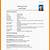 simple resume format for job pdf