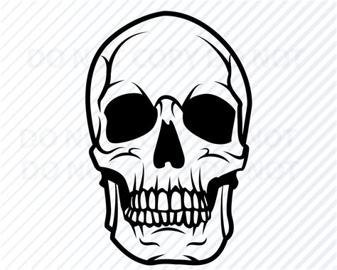 Download High Quality skull clipart cute Transparent PNG Images Art