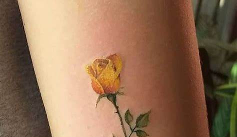 Simple Small Yellow Rose Tattoo Most Current Photographs s Style