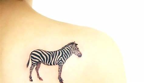 Simple Zebra Tattoo Top 50 Best Designs s, s