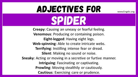 Simple Adjectives Printable Spider Adjectives Printable