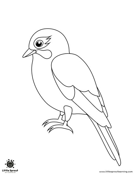 Simple Bird Coloring Template Pages Pdf