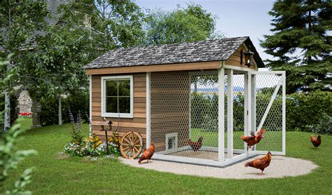 Simple Chicken Coops Designs