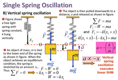 simple harmonic motion examples with solutions pdf