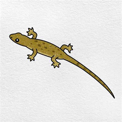 Draw a Gecko Step by Step Art Starts