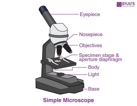 Simple Microscope Have Lenses