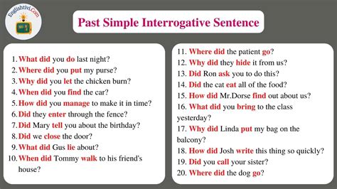 simple past tense examples interrogative with answers