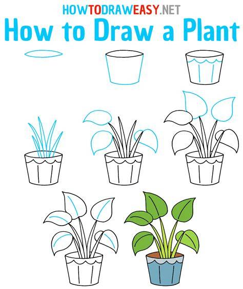 Plant Drawing Easy Free download on ClipArtMag