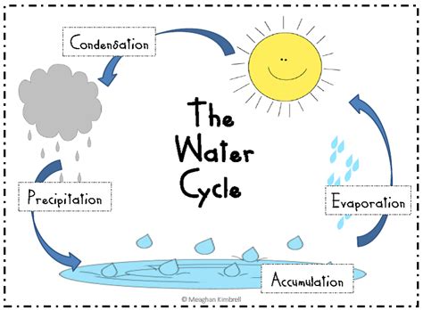 Simple Printable Water Cycle