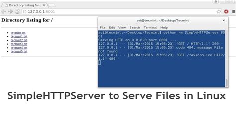 simple python http server