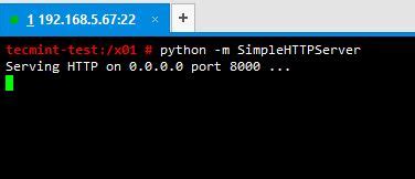 simple python http server command