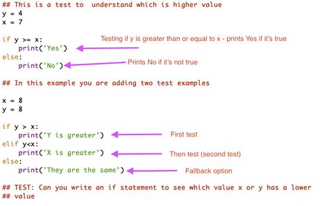 simple python program questions for beginners