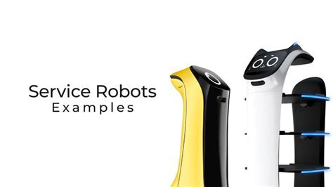 Simple Robots Examples