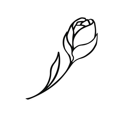 Simple Rose Bud Outline