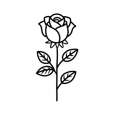 Simple Rose Drawing Picture