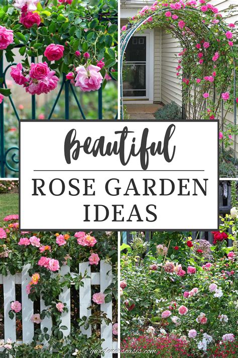 Simple Design Ideas Rose Garden Plans Flowers Ideal Small Memorial