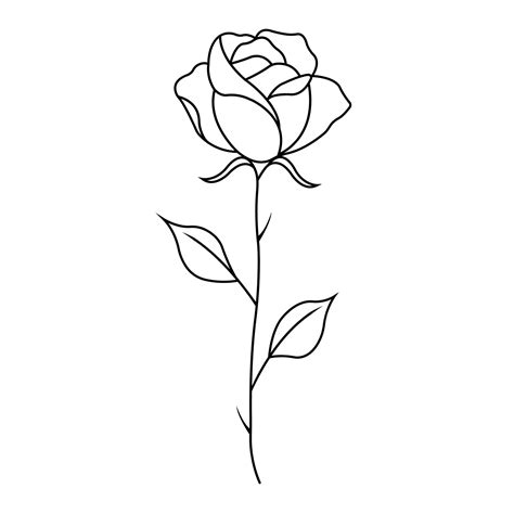5 Simple Rose Outlines