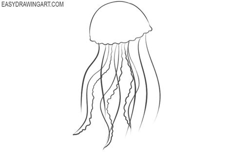 Free Simple Sketch Jellyfish Drawing Free For Download