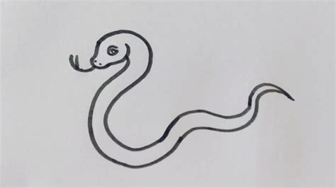 Simple Snake Drawing