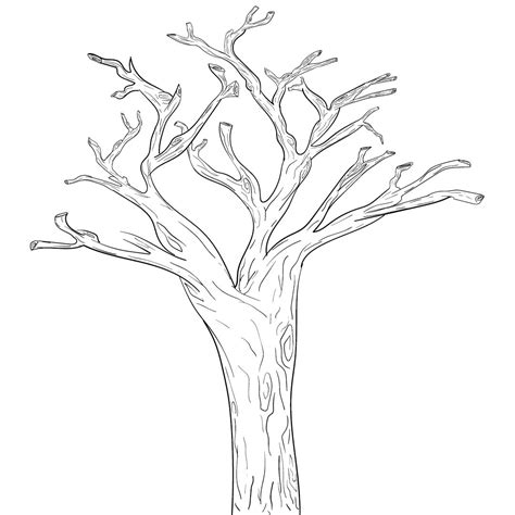 Simple Trunk Tree Coloring Pages
