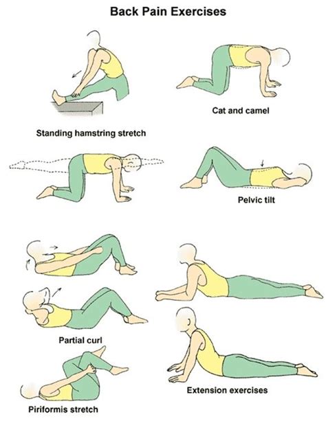 simple stretches for back pain