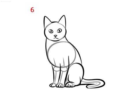Simplecat Drawing
